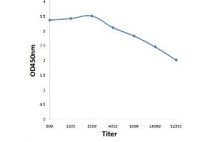 Antigen: 0. (UBE2G2 antibody  (AA 100-165))