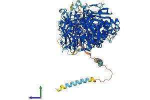 AlphaFold protein structure predicition of Mouse Recombinant Man2a1 Protein, UniprotID P27046 (alpha-Mannosidase II Protein (AA 1-1150) (His tag))