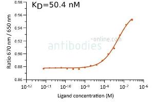 Microscale thermophoresis measurement of binding of anti- SARS-CoV-2 Spike antibody AA 319-541 MM117 (ABIN7042145) to SARS-CoV-2 Spike (Trimer) protein (ABIN6952670). (SARS-CoV-2 Spike Protein (Trimer) (rho-1D4 tag))