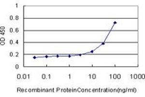 Detection limit for recombinant GST tagged CAMK2A is approximately 3ng/ml as a capture antibody. (CAMK2A antibody  (AA 305-410))