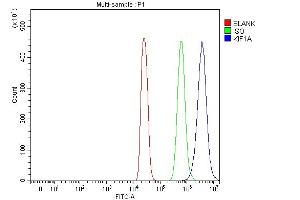 Flow Cytometry analysis of 293T cells using anti-KIF1A antibody (ABIN7599679). (KIF1A antibody  (AA 1079-1628))