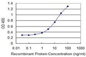 Detection limit for recombinant GST tagged RBM15 is 0. (RBM15 antibody  (AA 701-810))
