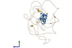 AlphaFold protein structure predicition of Human Recombinant TBX3 Protein, UniprotID O15119 (TBX3 Protein (AA 1-743) (His tag))
