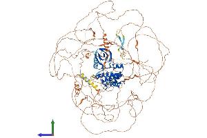 AlphaFold protein structure predicition of Human Recombinant MAP3K19 Protein, UniprotID Q56UN5 (MAP3K19 Protein (AA 1-1328) (His tag))