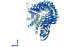 AlphaFold protein structure predicition of Mouse Recombinant Copg1 Protein, UniprotID Q9QZE5 (COPG Protein (AA 1-874) (His tag))