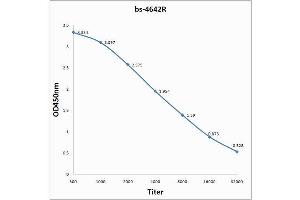 Antigen: 0. (Krv-Vp1/Krv-Vp2 (AA 501-582) antibody)