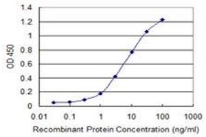 Detection limit for recombinant GST tagged DPYSL5 is 0. (DPYSL5 antibody  (AA 466-564))