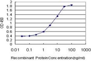 Detection limit for recombinant GST tagged NANOG is approximately 0. (Nanog antibody  (AA 98-195))