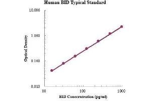 ELISA image for BH3 Interacting Domain Death Agonist (BID) ELISA Kit (ABIN3199199)