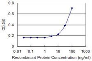 Detection limit for recombinant GST tagged GNGT1 is 1 ng/ml as a capture antibody. (GNGT1 antibody  (AA 1-74))