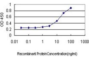 Detection limit for recombinant GST tagged PRKD2 is approximately 1ng/ml as a capture antibody. (PKD2 antibody  (AA 1-110))