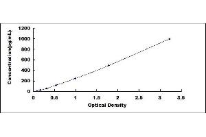 Typical standard curve
