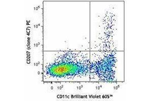 Flow Cytometry (FACS) image for anti-CD207 Molecule, Langerin (CD207) antibody (PE) (ABIN2662536) (CD207 antibody  (PE))