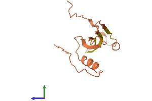 AlphaFold protein structure predicition of Human Recombinant LINC01555 Protein, UniprotID Q8NAE3 (C1orf180 Protein (AA 1-123) (His tag))