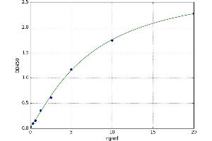 CD81 (CD81) ELISA Kit