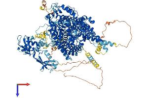 AlphaFold protein structure predicition of Human Recombinant CLUH Protein, UniprotID O75153 (CLUH Protein (AA 1-1309) (His tag))