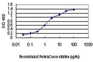 Detection limit for recombinant GST tagged MAP2K3 is approximately 0. (MAP2K3 antibody  (AA 1-100))