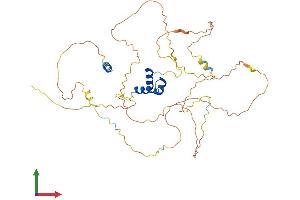 AlphaFold protein structure predicition of Mouse Recombinant Lcor Protein, UniprotID Q6ZPI3