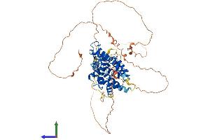 AlphaFold protein structure predicition of Human Recombinant NR4A1 Protein, UniprotID P22736 (NR4A1 Protein (AA 1-598) (His tag))