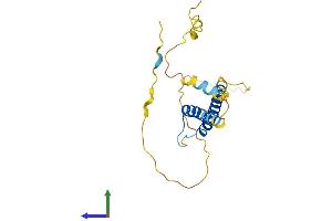 AlphaFold protein structure predicition of Human Recombinant BHLHA15 Protein, UniprotID Q7RTS1 (BHLHA15 Protein (AA 1-189) (His tag))