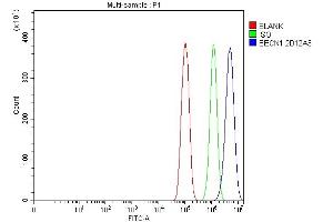 Flow Cytometry analysis of PC-3 cells using anti-Beclin 1 antibody (ABIN7599303).