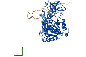 Protein Structure (PS) image for Sirtuin 7 (SIRT7) (AA 1-400) protein (His tag) (ABIN7555569)