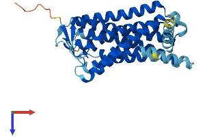 AlphaFold protein structure predicition of Human Recombinant OR2I1P Protein, UniprotID Q8NGU4 (OR2I1P Protein (AA 1-316) (His tag))