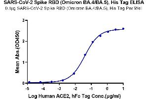Immobilized SARS-CoV-2 Spike RBD (Omicron BA. (SARS-CoV-2 Spike Protein (BA.4 - Omicron, BA.5 - Omicron, RBD) (His tag))