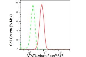 Flow cytometric analysis of STAT6 expression in HT- cells using STAT6 antibody (ABIN7800349), 1:2,000).