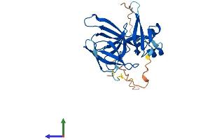 AlphaFold protein structure predicition of Mouse Recombinant Spin2c Protein, UniprotID Q6NVE3 (Spin2c Protein (AA 1-257) (His tag))