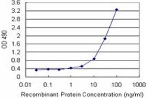 Sandwich ELISA detection sensitivity ranging from 1 ng/mL to 100 ng/mL. (SGTA (Human) Matched Antibody Pair)