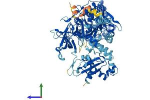 Protein Structure (PS) image for Acyl-CoA Synthetase Long-Chain Family Member 6 (ACSL6) (AA 1-697) protein (His tag) (ABIN7551974)