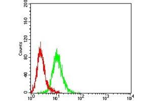 Flow cytometric analysis of Hela cells using KMT2D mouse mAb (green) and negative control (red).