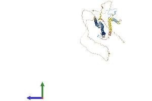AlphaFold protein structure predicition of Human Recombinant RSPH3 Protein, UniprotID Q86UC2 (RSPH3 Protein (AA 1-560) (His tag))