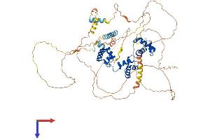 MYB Protein (AA 1-640) (His tag)