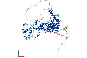 AlphaFold protein structure predicition of Mouse Recombinant Trmt6 Protein, UniprotID Q8CE96 (TRMT6 Protein (AA 1-497) (His tag))