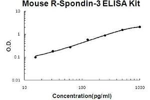 R-Spondin 3 ELISA Kit