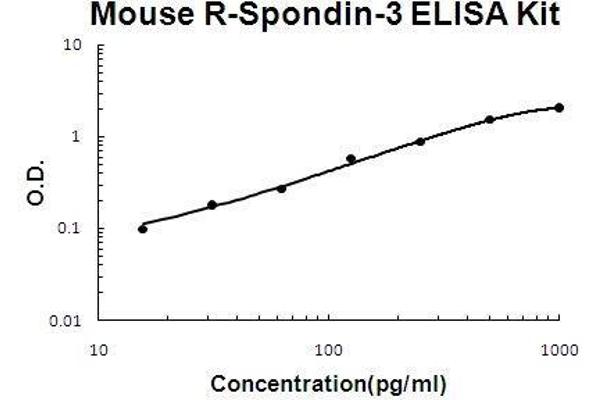 R-Spondin 3 ELISA Kit