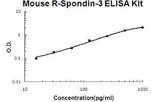 Mouse R-Spondin-3 PicoKine ELISA Kit standard curve