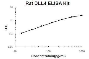 Rat DLL4 PicoKine ELISA Kit standard curve (DLL4 ELISA Kit)