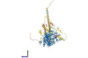 AlphaFold protein structure predicition of Mouse Recombinant Hells Protein, UniprotID Q60848