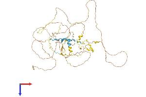 RAI2 Protein (AA 1-530) (His tag)