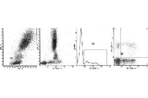 Image no. 1 for Mouse anti-Human Ig (Chain lambda), (Light Chain) antibody (FITC) (ABIN1108011)
