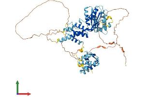 AlphaFold protein structure predicition of Mouse Recombinant Cdc6 Protein, UniprotID O89033 (CDC6 Protein (AA 1-562) (His tag))