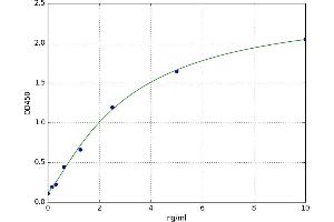 A Kinase (PRKA) Anchor Protein 17A (AKAP17A) ELISA Kit