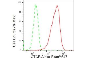 Flow cytometric analysis of CTCF expression in C2C12 cells using CTCF antibody (ABIN7797950), 1:2,000). (Recombinant CTCF antibody)