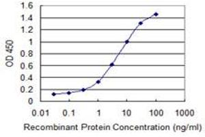 Detection limit for recombinant GST tagged HSD17B8 is 0. (HSD17B8 antibody  (AA 28-127))