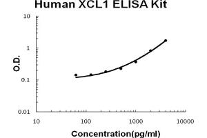 Human XCL1/Lymphotactin Accusignal ELISA Kit Human XCL1/Lymphotactin AccuSignal ELISA Kit standard curve. (XCL1 ELISA Kit)