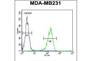 Flow cytometric analysis of MDA-MB231 cells (right histogram) compared to a negative control cell (left histogram). (14-3-3 zeta antibody  (AA 65-93))