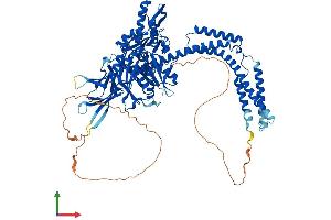AlphaFold protein structure predicition of Mouse Recombinant Hspa4 Protein, UniprotID Q61316